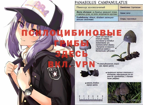 винт Белокуриха
